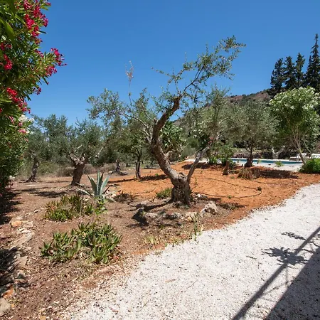 The Pines Chania (Crete)