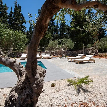 The Pines Villa Chania (Crete)